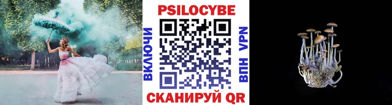 Галлюциногенные грибы мицелий  OMG ТОР  Казань  продажа наркотиков 