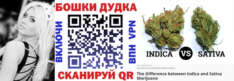 купить цена Казань Бошки Шишки THC 21%
